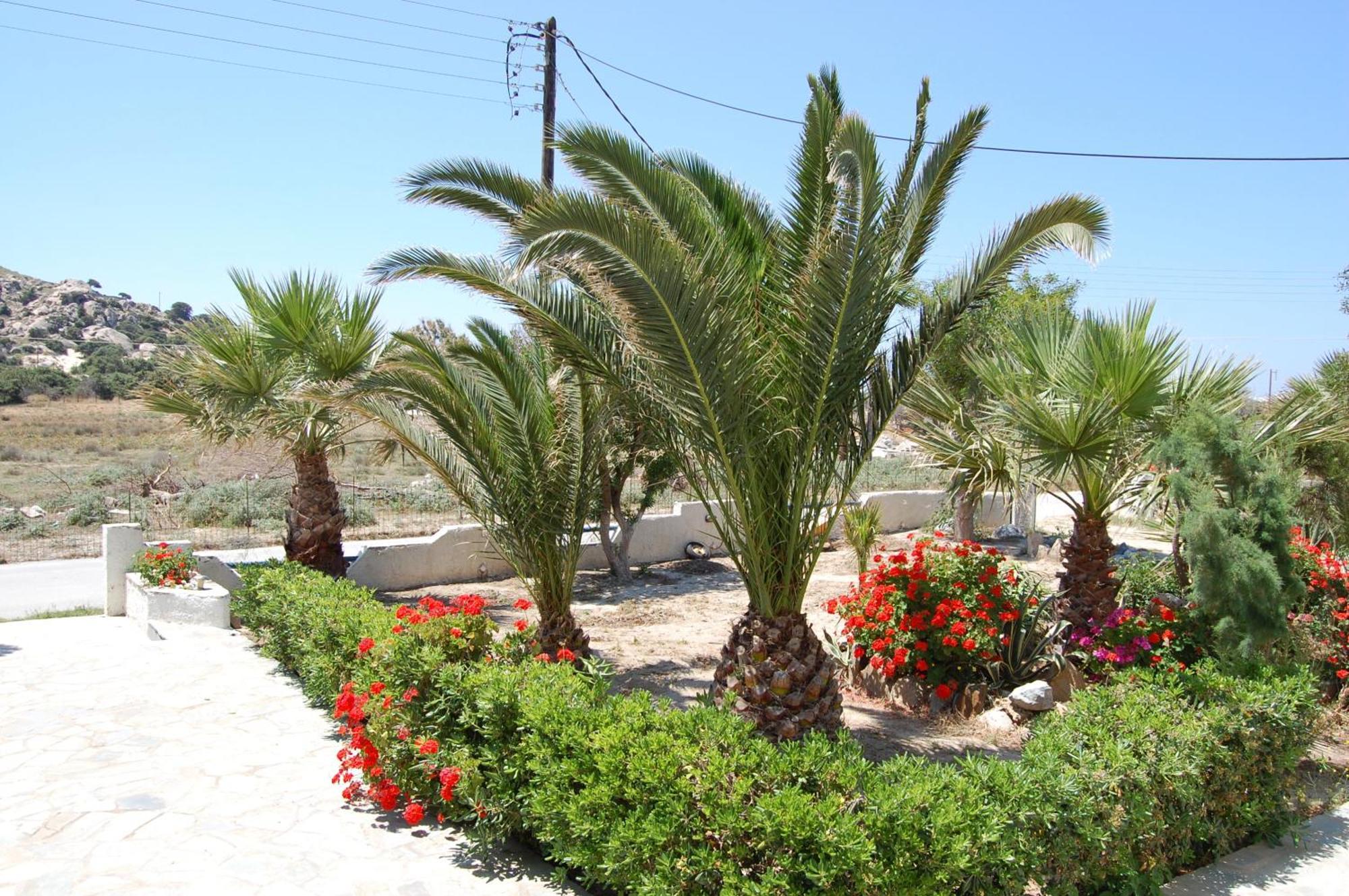 Coralli Beach Apartments Mikri Vigla Extérieur photo